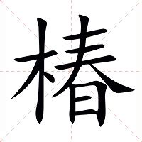 木椿意思|椿（汉语汉字）